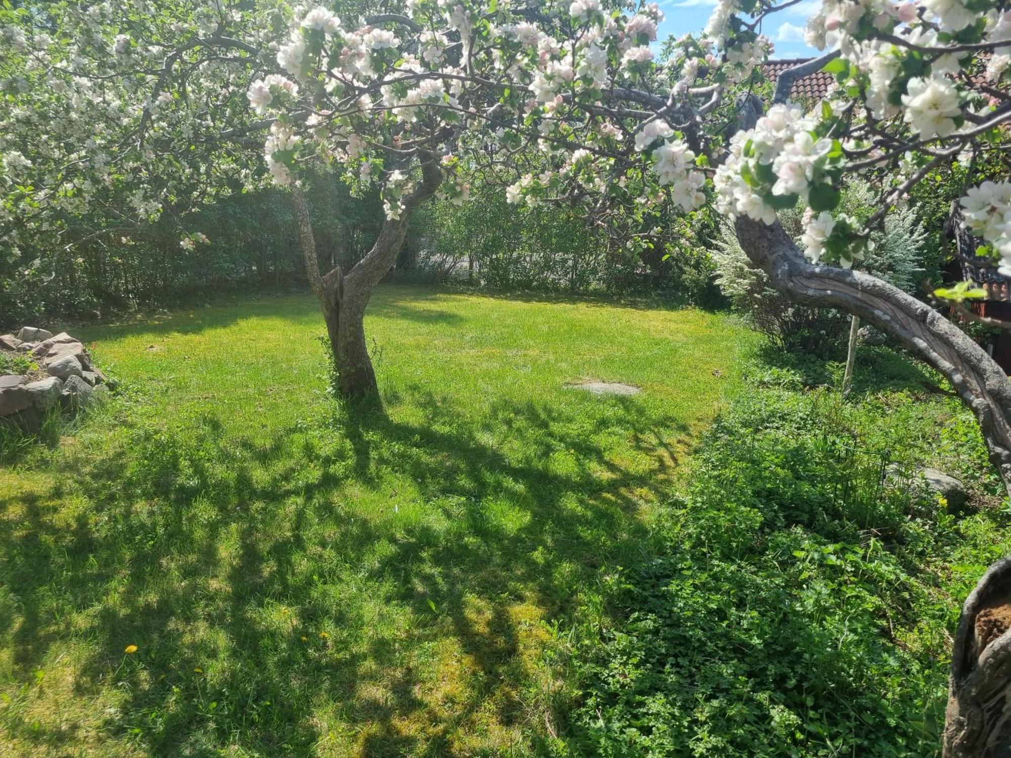 Saellinge House - Cozy Villa With Fireplace And Garden Close To Uppsala Zewnętrze zdjęcie